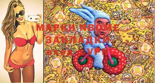 шишки Балахна