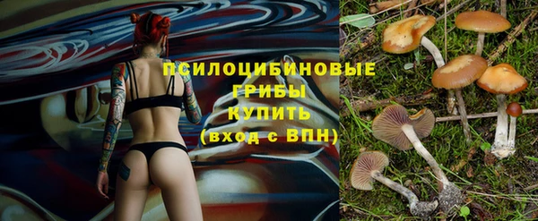 шишки Балахна