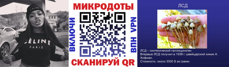 Псилоцибиновые грибы прущие грибы Лаишево