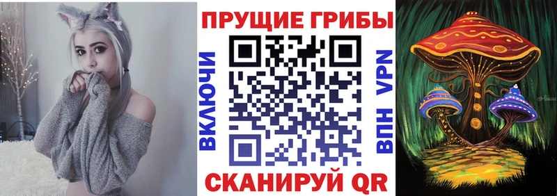 Галлюциногенные грибы Psilocybine cubensis  МЕГА онион  Лаишево  купить  сайты 